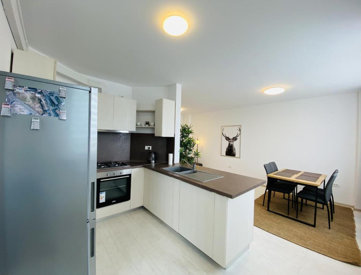 شقة Charming Flat In Brasov With Balcony Panoramic View المظهر الخارجي الصورة
